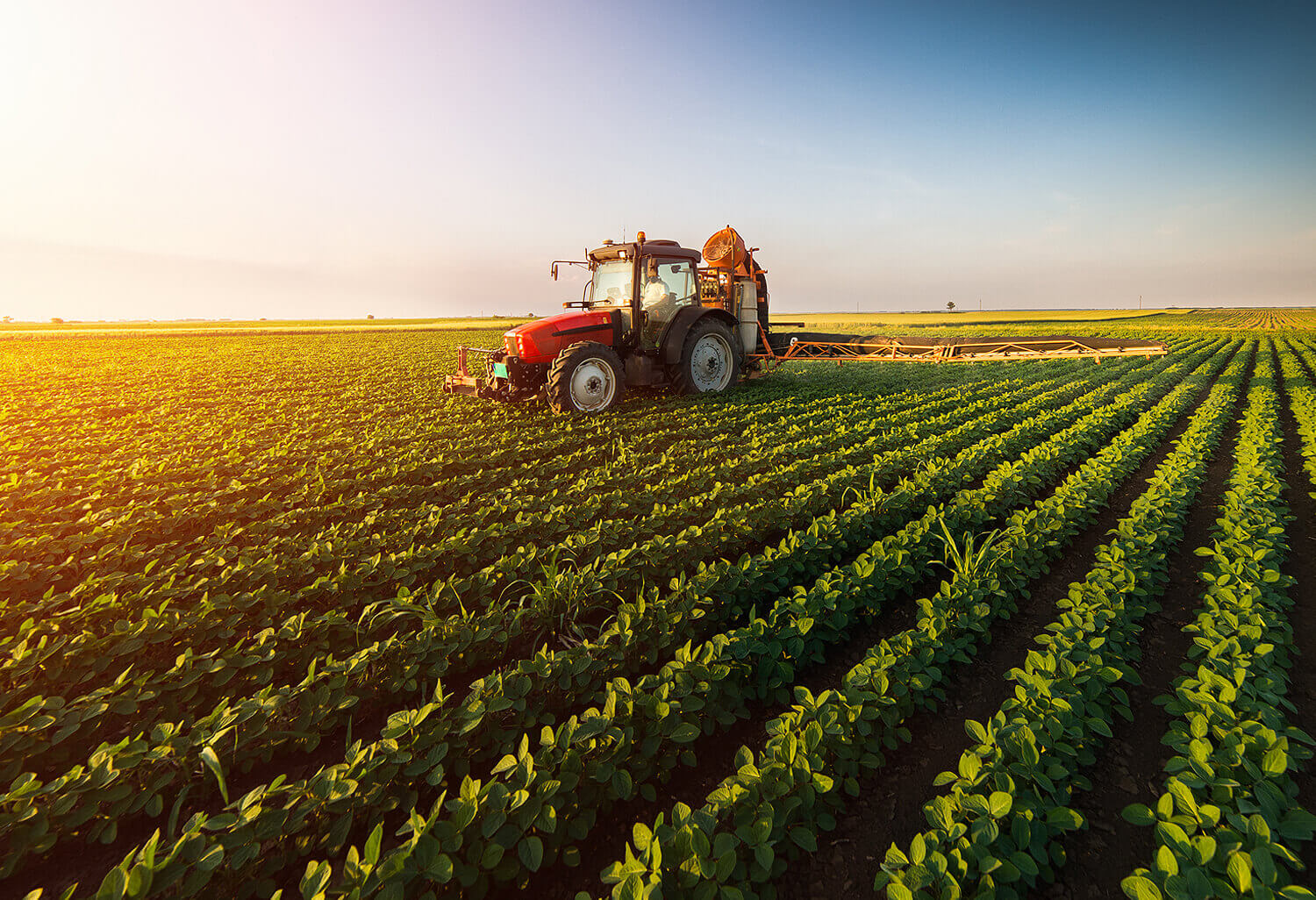 Landhandel Landhandel